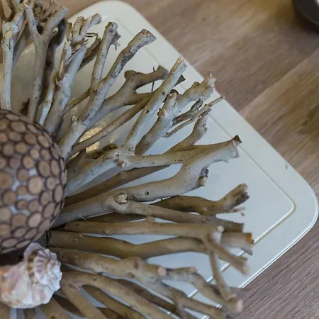 Unser Haus Norderney